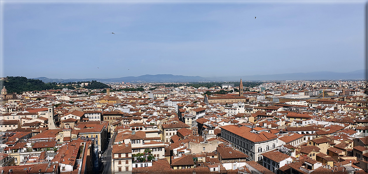 foto Firenze dal campanile di Giotto